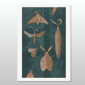 Moths on the Window, Print