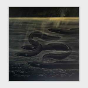 Paula Coulthard: Four Eels Limited Edition Print on canvas