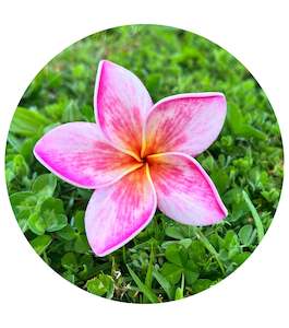 Seis And Flower Hair Clips: ANUILAGI Small Plumeria