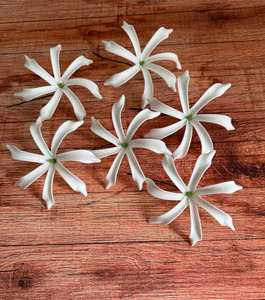 Seis And Flower Hair Clips: TIARE Bloom Flower