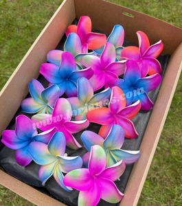 TROPICAL Frangipani