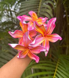 Seis And Flower Hair Clips: MARIE PLUMERIA