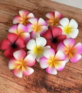 Seis And Flower Hair Clips: PUA SAMOA