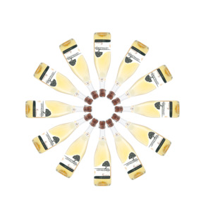 Products: Case 12 Bottles Dry Feijoa Sparkling Wine Biogro NZ Organic Vegan Award Winning Lothlorien Winery NZ - Lothlorien Winery Ltd-shop-feijoa-wine-sparkling