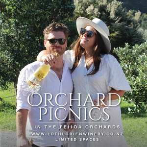Products: Orchard Picnics - Lothlorien Winery Ltd-shop-feijoa-wine-sparkling