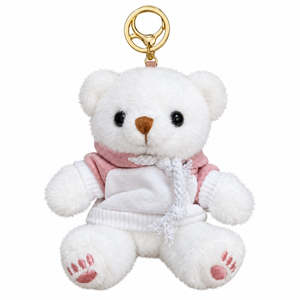 Products: Hoodie Teddy Bear Plush Keychain (12 cm)