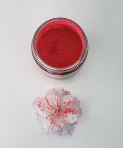 Neon Pigment, Fired Up Fuschia - 10g