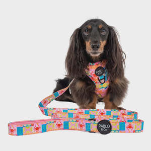 Dog Leads: Mykonos: Dog Leash