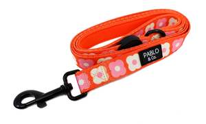 Dog Leads: Pink Checkered Daisies: DOG LEASH