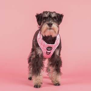 Harnesses: Pink Houndstooth: Adjustable Harness