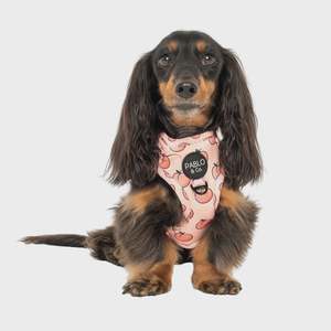 Harnesses: Peaches & Cream Adjustable Harness
