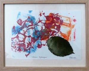 Products: Summer Hydrangeas 1