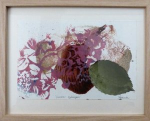 Products: Summer Hydrangeas 3