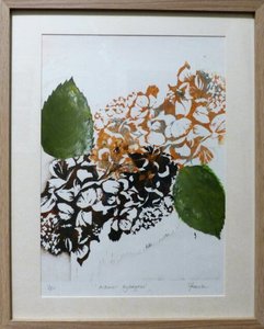 Products: Autumn hydrangeas