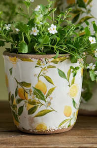 Garden: Botanical Lemon Pot - Small