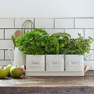 Herb Pots with Leather Handled Tray - Set of 3