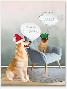 Icandy: iCandy Card - Let’s Eat, Drink and Be Merry!!!