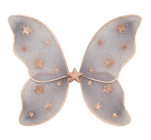 Baby And Child: Starry Night Wings Grey