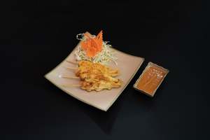 SK4 - CHICKEN SATAY