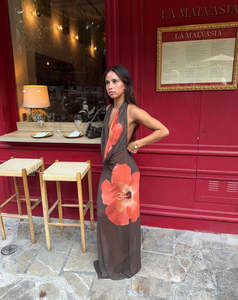 Columbine Maxi Dress in Brown with Red Flowers