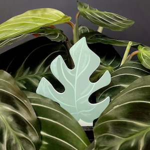 Home & Garden: PlantDoc Moisture Meter - Mini Monstera - 5 pack