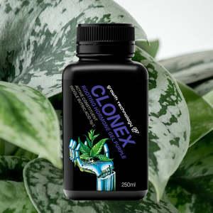 Propogation: Growth Technology GT CLONEX Rooting Gel - Purple 250ml