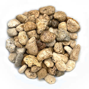 Soil and Substrates: Pumice - Super Chunky - 2 litres