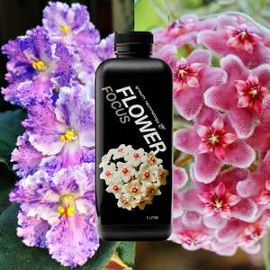 Propogation: Growth Technology GT FLOWER Focus - 1 litre