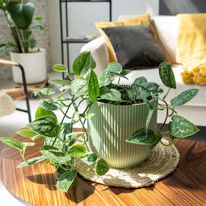 Pots: Cover Pot - Elho Vibes - 18cm Mint Sorbet