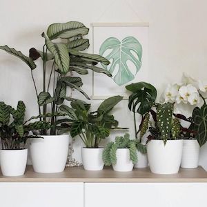 Pots: Cover Pot - Elho Brussels Round - 20cm White