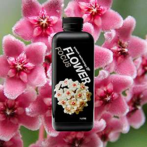 Growth Technology GT FLOWER Focus - 1 litre
