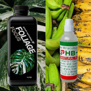 Propogation: GT Goes Bananas (3 products)
