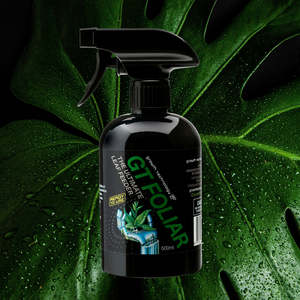 Indoor Plant Fertiliser: Growth Technology FOLIAR 500ml