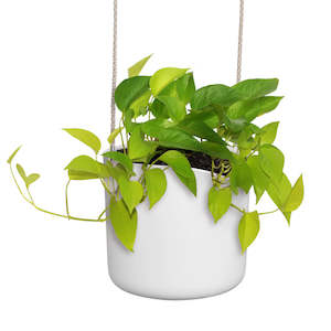 Elho Swing Stackable Hanging Pot - 100% Recycled - 18cm White