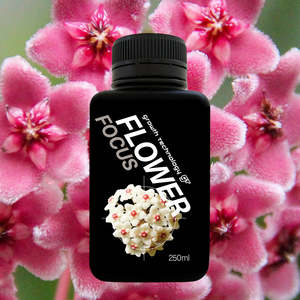 Indoor Plant Fertiliser: Growth Technology GT FLOWER Focus - 250ml