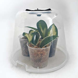 Elho: Elho Growhouse Dome Clear - Medium (17cm)