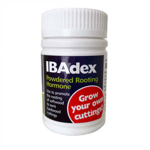 Cloning Paste: Egmont IBADEX Rooting Hormone Powder - 25 grams