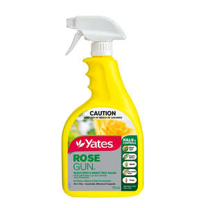 Insect Control: Yates Rose Gun Spray - Fungicide & Insecticide - for Powdery Mildew, Aphids, Thrips, Mites - 750ml