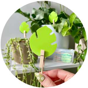 Insect Control: uBloomd Green Sticky Traps MONSTERA LEAF for flying pests - 10 traps / 5 clips - $1.90 per trap