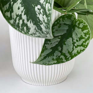 Cover Pot - Elho Vibes - 16cm Eggshell White