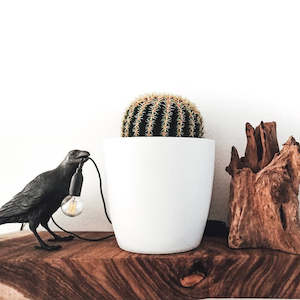 Cover Pot - Elho Brussels Round Mini - 12.5cm White