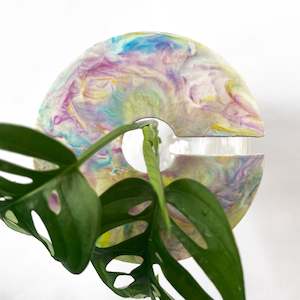 Propagation Supplies: Claroplants ECO - CANDY - 100% Recycled