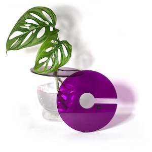 Propagation Supplies: Claroplants - VIOLET