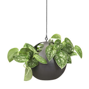 Hanging Pots: Hanging Pot - Elho B.For Soft Air - Charcoal