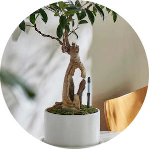 Sustee: Sustee Water Meter - BLACK (3 sizes)