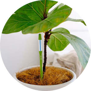 Sustee: Sustee Water Meter - GREEN (3 sizes)