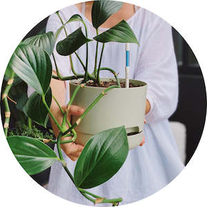 Sustee: Sustee Water Meter - WHITE (3 sizes)