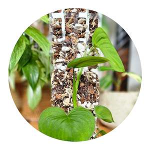 Soil Substrate: Wildvine Grow Pole Blend - 6 litre