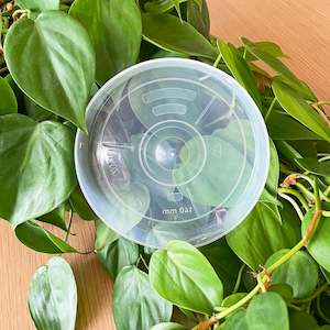 Rain Clear Saucer - Medium 13.5cm - Best match 14cm to 16cm pots - From $1.50 each