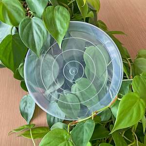 Rain Clear Pots: Rain Clear Saucer - Extra Large 19.5cm - Best match 20cm to 23cm pots - From $2.40 each